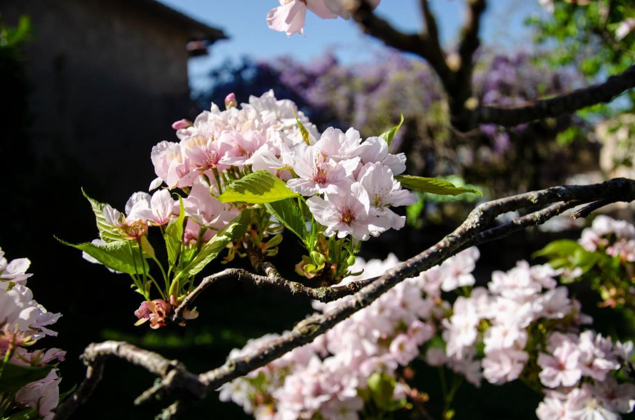 Saint-Benoit-de-CarmauxLa Petite Pierretteアパートメント エクステリア 写真